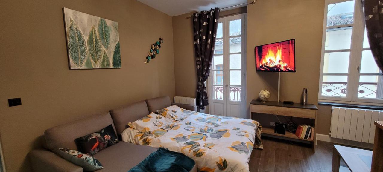 Appartement Le Moulin Vert Carcassonne Dış mekan fotoğraf